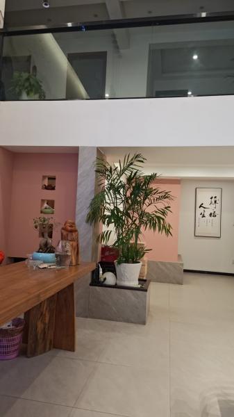 高安惠恩酒店旁店面转让(可分开转让)!
1楼:全新装修茶餐厅,带阁楼
2楼:美容养生…