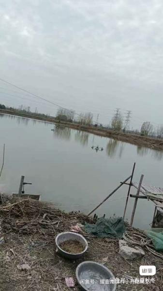 鱼塘转让,大约有十五亩左右的,可以开发垂钓,靠近城市,三年没清过鱼塘了,里面有很…